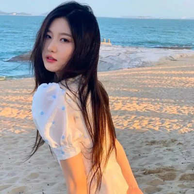 鲭鱼罐头